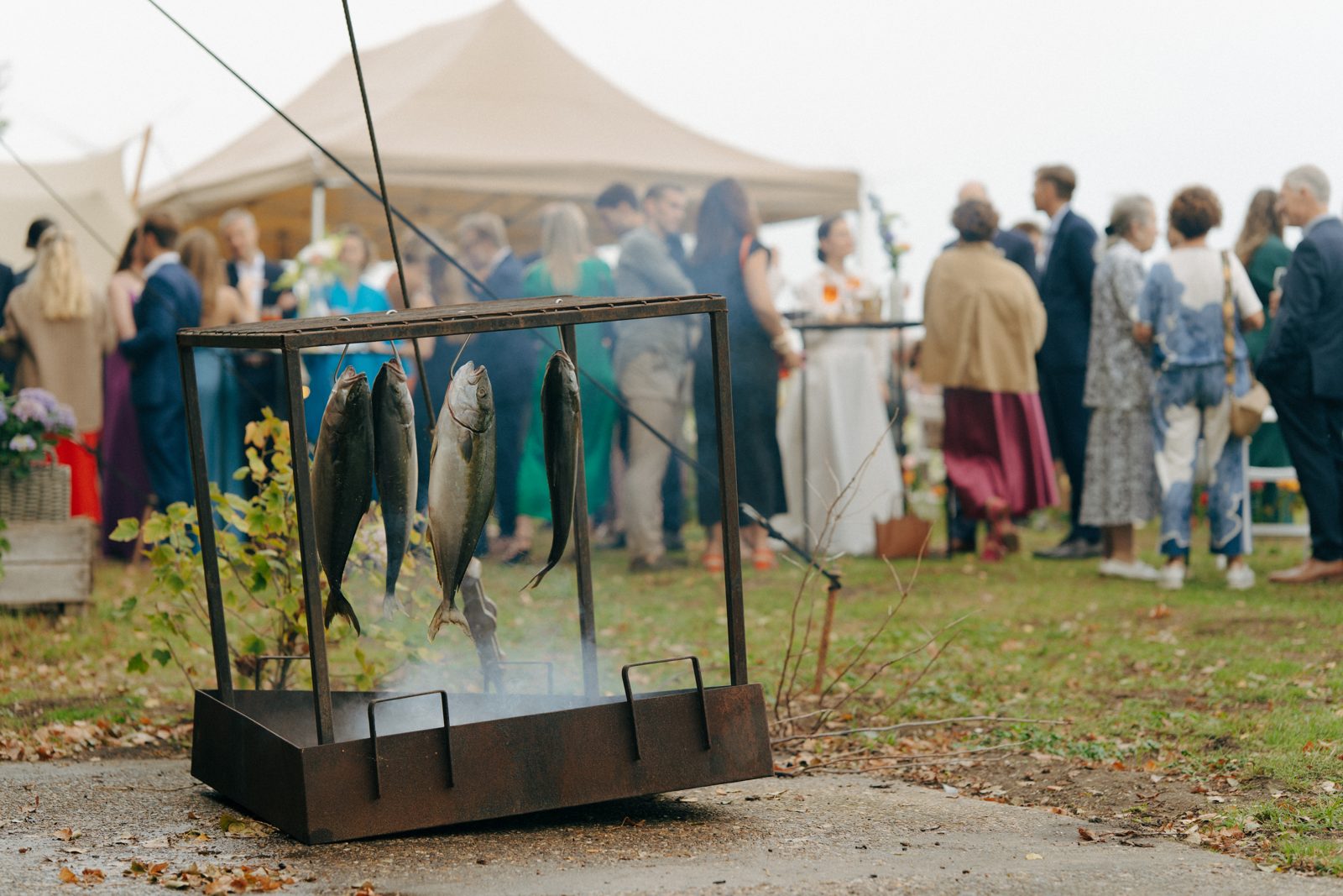 Receptie op het buitenterrein van Harbor: gasten bij de tent, met vers gerookte vis boven het vuur op de voorgrond